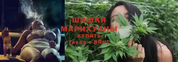 ешки Няндома