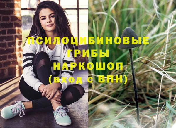 ГАЛЛЮЦИНОГЕННЫЕ ГРИБЫ Осинники