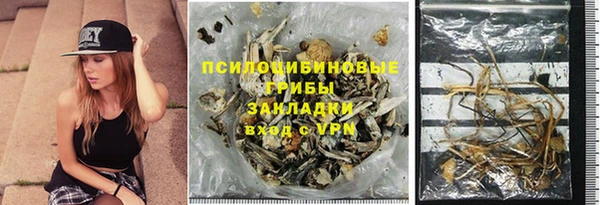 ешки Галич