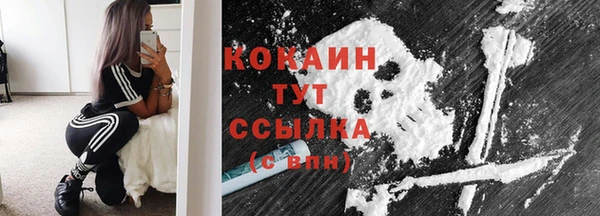 ГАЛЛЮЦИНОГЕННЫЕ ГРИБЫ Осинники