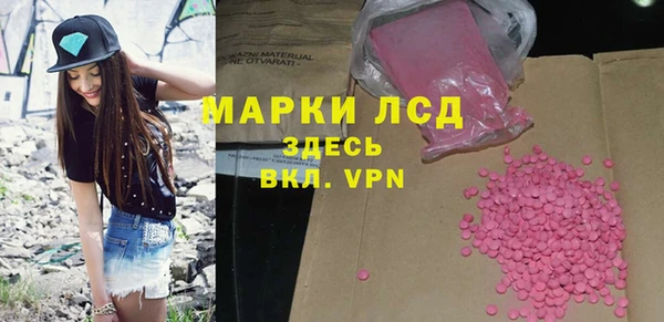 ГАЛЛЮЦИНОГЕННЫЕ ГРИБЫ Осинники
